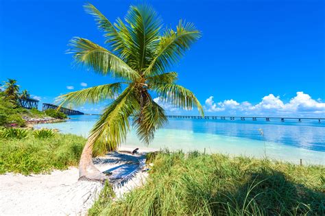 Mga Pinakamagandang Beach sa Florida para sa Perfectong Panahon ng Tag-init!